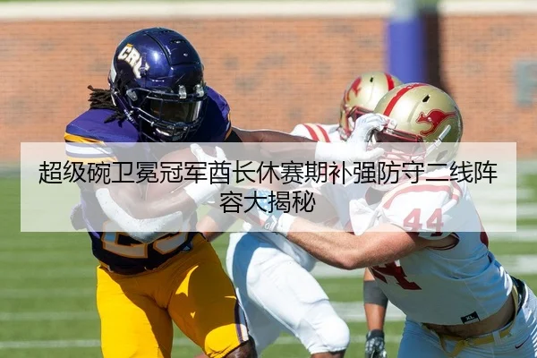 超级碗卫冕冠军酋长休赛期补强防守二线阵容大揭秘