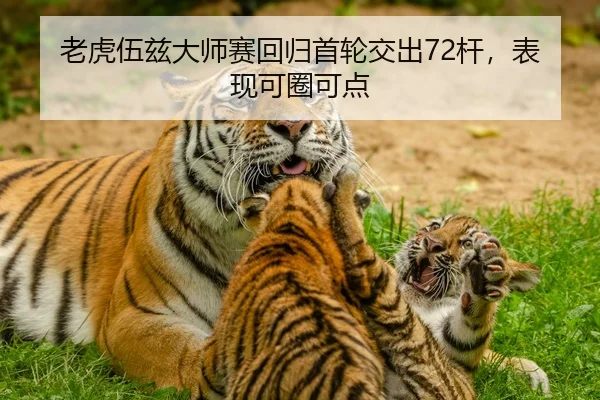 老虎伍兹大师赛回归首轮交出72杆，表现可圈可点